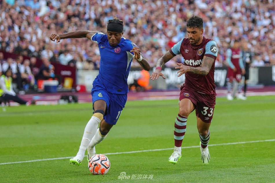 他们可能会 他们可能会